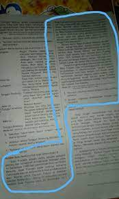 8 Temukan Informasi Dalam Kutipan Buku Nonfiksi Tersebut 9 Buatlah Ringkasan Berdasarkan Kutipan Brainly Co Id