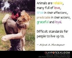 Animals Vs People Quote Via Www Clapotideas Com Animal Quotes Interesting Quotes People Quotes