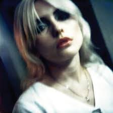 Appreciation for wildlife photography by Jeff Jamieson