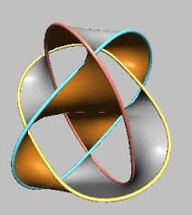 Image result for seifert surface