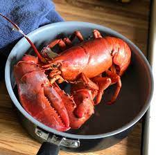 Lobsterporn com