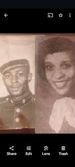 Hi lovely people, could I please ask you another favour. Would it be  possible to dull out the background of this amazing photo so it can be used 