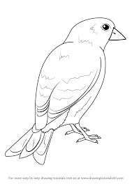 In world of animals you will find birds coloring pages, as well as others. Coloring Pages Goldfinch