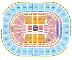 69 Exact Wwe Summerslam Seating Chart