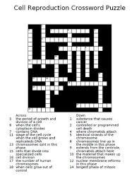 Cell crossword puzzle worksheet answer sheet in this life science crossword plant and animal cells take center stage this worksheet tackles science vocabulary like cells as they define these words and use them to finish the puzzle. Cell Reproduction Crossword Puzzle Teaching Resources