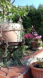 Pin Von Scuscu Kremer Auf Mein Garten Garten