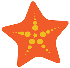 Seashell Free Clip Art Sea Shells Clipart Image Clip Art Seashell Clipart Starfish