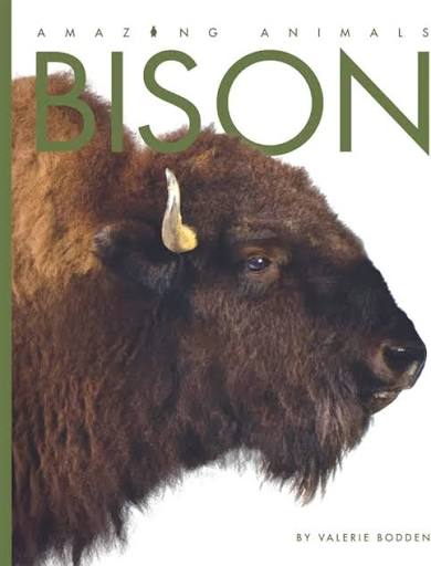 Amazing Animals: Bison: Bodden, Valerie: 9780898127874: Amazon.com: Books