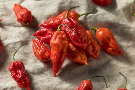 Ghost Pepper Vs Jalapeño Pepperscale Showdown Pepperscale