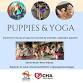 Puppies & Yoga event image