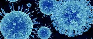 We did not find results for: Norovirus I Predpriyatiya Obshestvennogo Pitaniya Dokazatelnaya Medicina Dlya Vseh