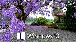Windows 10 light skin pack is one of the best windows 10 light themes available for your pc. Summer Windows 10 Wallpaper Hd 1920x1080 Nature