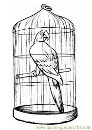 Find high quality cage coloring page, all coloring page images can be downloaded for free for personal use only. Parrot In A Cage Coloring Page For Kids Free Parrots Printable Coloring Pages Online For Kids Coloringpages101 Com Coloring Pages For Kids