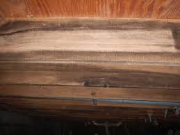 Mold On Floor Joist Before Www Indianacrawlspacerepair Com Mold Remover Mold Removal Cost Molding