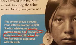 American Indians in Children's Literature (AICL): 01/01/2020