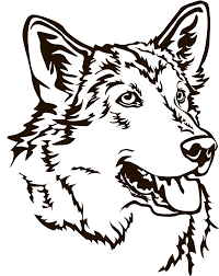 Ein hund wie ein wolf: 4pfotenshop Hundewarnschilder Und Kratzfeste Autoaufkleber Mit Hundemotiven Autoaufkleber Folienaufkleber Saarloos Wolfhund Kopf