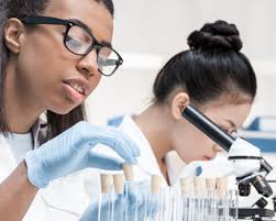 Career Development, Our Culture, and Values