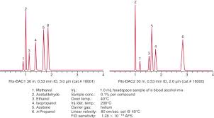 Flame ionization detectors work according to the principle of ions released in the combustion of the sample species. Flame Ionization Detector An Overview Sciencedirect Topics