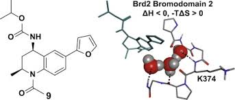No key system w/ premium & 40+ games! Exploiting A Water Network To Achieve Enthalpy Driven Bromodomain Selective Bet Inhibitors Sciencedirect