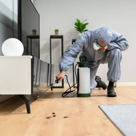 Commercial Pest Control