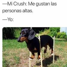 Pin En Mio