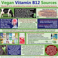 Vitamin B12 Vegan B12 Vegan B12 Sources Vegan Nutrition