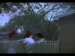 Burke, and was quite a success among the audiences, thus making many hollywood here we have put together a list of some of the best tornado movies of all time. Best Tornado Movies Made In Hollywood To Watch Online Right Now
