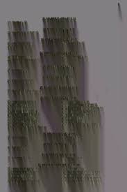 Image result for Pavetta macrosepala