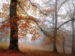 If I Should Fall Behind Faith Hill Breathe Amazing Nature Places To Visit Beautiful Places