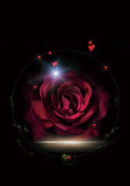 Background Black And Pink Roses Wallpaper Fantasy Rose Black Background Black Background Wallpaper Red And Black Wallpaper Love Background Images