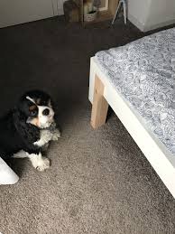Rise The Ikea Malm Bed Malm Bett Ikea Erhohung Malm Bett Ikea Malm Bett Bett Erhohen Stauraum