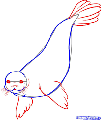 How To Draw A Seal Step 3 Art Drawings For Kids Animal Drawings Animal Art Projects