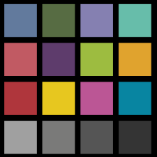 Image result for Hypoxis kilimanjarica