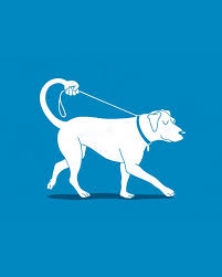 What If Keen Walkthatdog Dog Illustration Dog Walking Dog Quotes