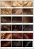 Chart Human Hair Color