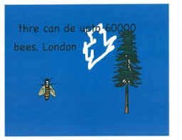 Mrs. Preston's Kindergarten Class Insect Book