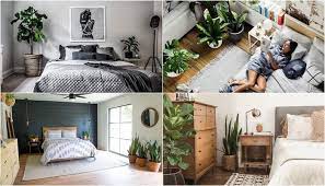 รวมไอเด ย การจ ดสวนในห องนอน ด วยต นไม พ เศษ ไม คายก าซพ ษกลางค น แถม เพ มการฟอกอากาศ bedroom home home decor