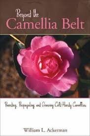 Begin by preparing potting medium with one part potting soil or compost, and one part perlite or coarse silica sand. Beyond The Camellia Belt Breeding Propagating And Growing Cold Hardy Camellias Von William L Ackerman Portofrei Bei Bucher De Bestellen