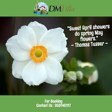 Quote Of The Day Sweet April Showers Do Spring May Flowers Thomas Tusser May Flowers Anemone Flower Flowers