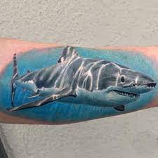 This started off as just the whale shark, but great white snuck its way in there. Shark Tattoo Ideas Designs Tattoo Ideas