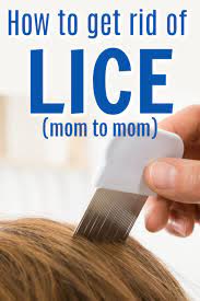 How To Get Rid Of Lice In 2020 How To Get Rid Hair Care Business Hair Care Products Professional