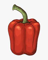 How to draw a pepper. Download Premium Illustration Of Fresh Organic Red Bell Pepper Vegetable Illustration Stuffed Bell Peppers Stuffed Peppers