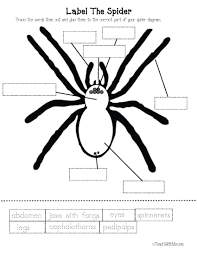 Spider Activities And Games That Teach Spider Activities Spider Book Spider Crafts