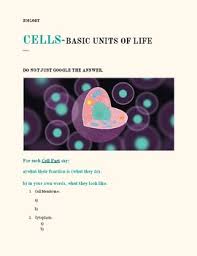 For instance, animal cells have no cell wall. Plant And Animal Cell Study Guide By English Experience Tpt
