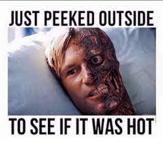 Jun 10, 2021 · excessive heat warning and advisories have been put in place for utah, arizona, nevada and california. Keep Cool With These 12 Funny Heatwave Memes Munofore