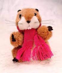Punxsutawney Phil Order Form Happy Groundhog Day Groundhog Day Golden Birthday Parties