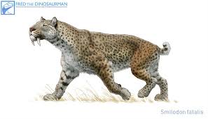 Black panther marvel coloring pages. Smilodon Fatalis 1 By Https Www Deviantart Com Fredthedinosaurman On Deviantart Smilodon Prehistoric Animals Extinct Animals