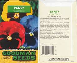 Pansy Roggli Giant Pansies Old Things Growing