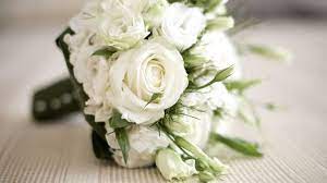 Lisianthus fiori simili alle rose. Lisianthus Bianco Perenni Coltivare Il Lisianthus Bianco