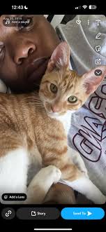 Cane and Katie still living it up. In Alabama together ❤️